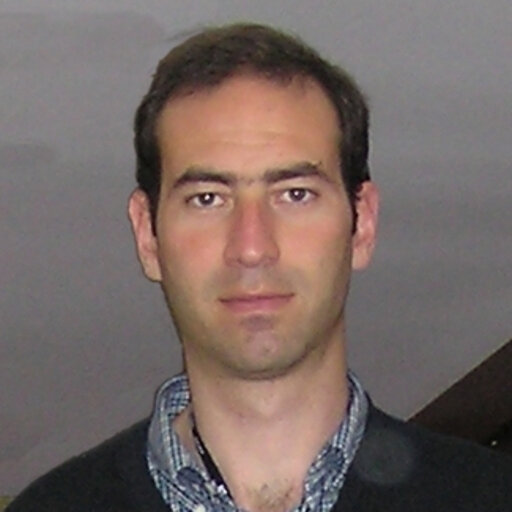 Prof. Maurizio D'Arienzo